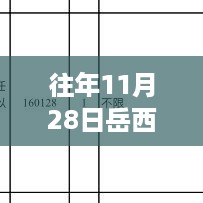 岳西在线招聘历年热门消息回顾与聚焦观点反思