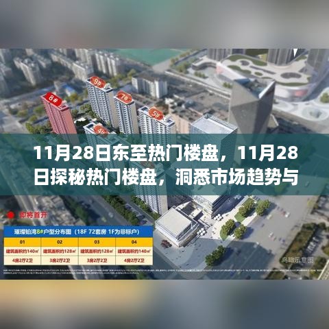 11月28日探秘热门楼盘，市场趋势与购房指南