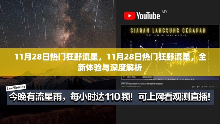 11月28日狂野流星盛宴，全新体验与深度解析