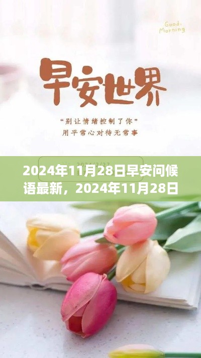 2024年11月28日早安问候语全新发布与评测介绍