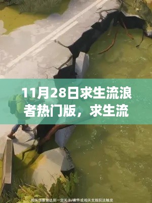 探寻求生流浪者热门版背后的故事与挑战，揭秘11月28日的求生之旅