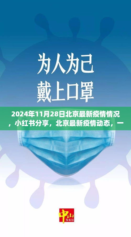 2024年11月28日北京疫情最新动态，小红书上的防控进展关注热点