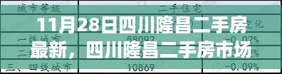 四川隆昌二手房市场最新动态观察与分析，聚焦最新动态与深度思考（11月28日）