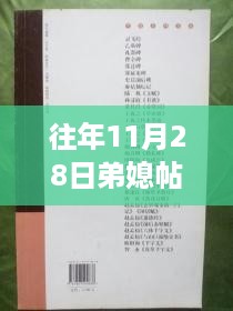 往年11月28日弟媳最新帖子回顾与展望，洞悉动态与趋势