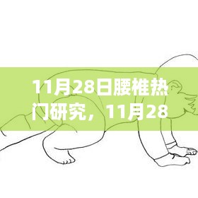 11月28日腰椎热门研究综述，最新进展与未来展望