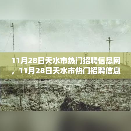 11月28日天水市热门招聘信息网，多元视角下的求职招聘新风向解读