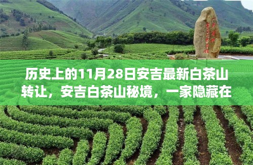 安吉白茶山秘境，历史转让日下的独特茶店传承之旅