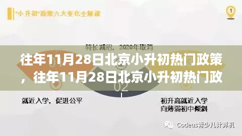 北京小升初热门政策解析，历年11月28日政策深度分析与个人观点分享