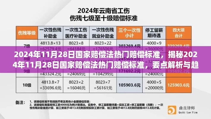 揭秘最新国家赔偿法热门赔偿标准，要点解析与趋势展望（2024年）