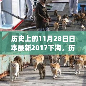 历史上的11月28日，探寻日本文化独特时刻与最新发展（包括2017年下海事件）