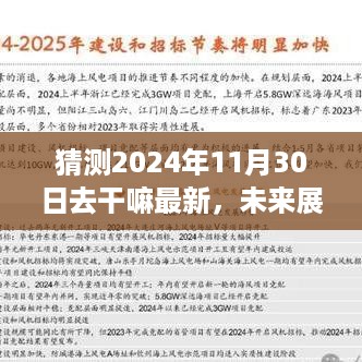 揭秘未来展望，2024年11月30日的最佳活动展望与选择建议