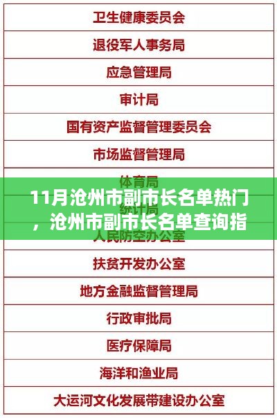 沧州市副市长名单查询指南，热门名单一网打尽（11月版）