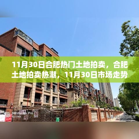 合肥土地拍卖热潮持续升温，11月30日市场走势深度解析