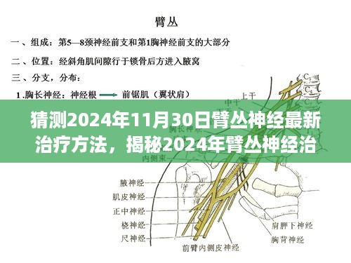 揭秘未来疗法，臂丛神经治疗新突破预测与抢先猜测，展望2024年最新治疗方法