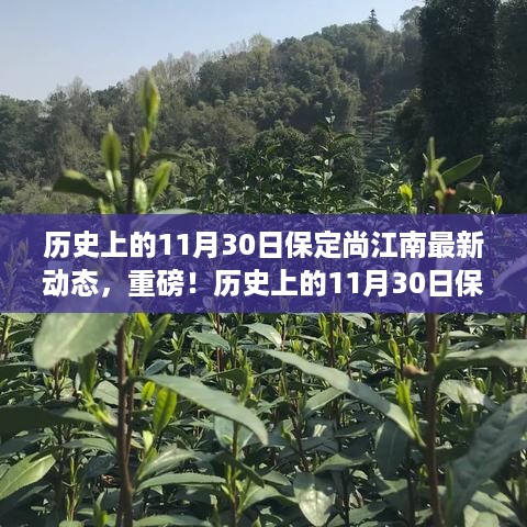 历史上的11月30日保定尚江南掀起新篇章，最新动态重磅发布！