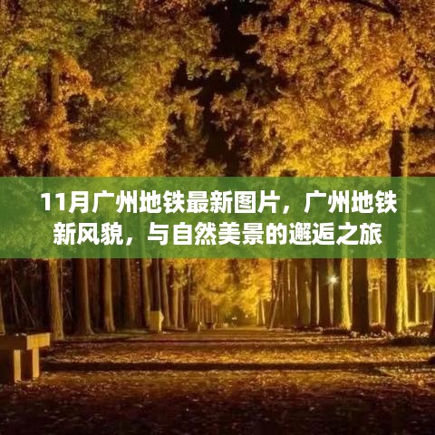 广州地铁新风貌，与自然美景的邂逅之旅（最新图片）