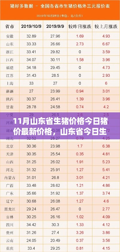 山东省最新生猪价格走势分析与最新猪价概览