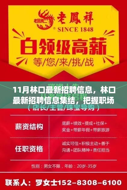 林口最新招聘集结，把握职场新机遇，开启事业新征程！