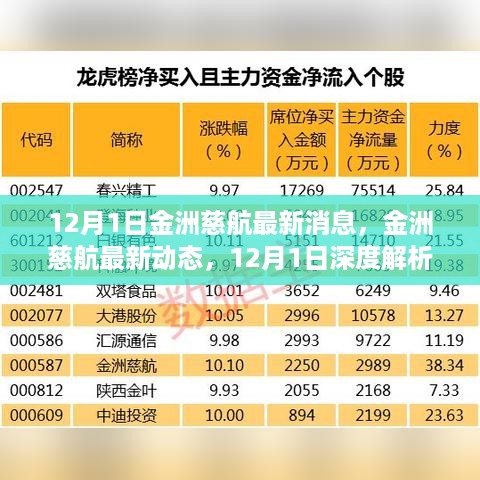 12月1日深度解析，金洲慈航最新消息与动态