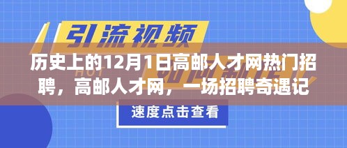 12月1日高邮人才网招聘热潮，历史回顾与奇遇记