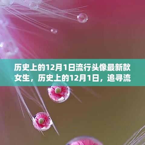 12月1日流行女生头像背后的自然美景之旅，宁静与冒险精神的觉醒之路