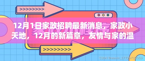 家政小天地，最新招聘信息与家的温暖交织的十二月新篇章