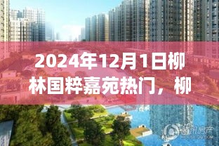 柳林国粹嘉苑2024年12月1日热门现象深度解析与个人立场