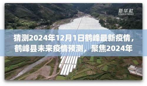 鹤峰县未来疫情预测，聚焦最新动态与应对策略（至2024年12月1日）