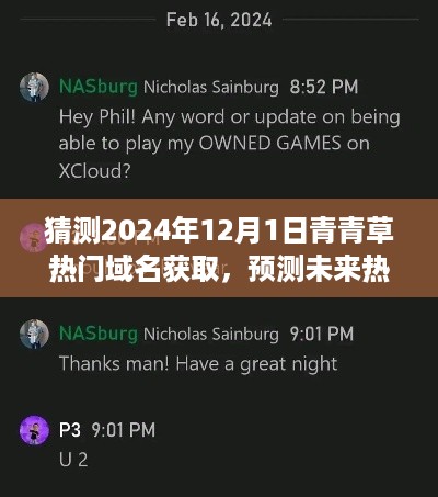 青青草域名获取预测，探索未来热门域名的无限可能，指南到手的2024年展望