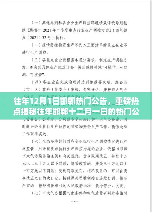 回顾与解析，邯郸往年十二月一日热门公告揭秘