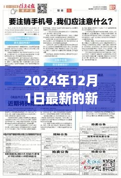 探秘自然秘境，心灵之旅与最新新闻回顾——2024年12月1日资讯概览