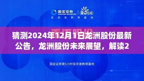 解读龙洲股份最新公告，展望龙洲股份未来发展与未来趋势预测（猜测至2024年12月1日）