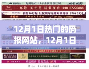 深度解析，12月1日热门码报网站的利弊与个人观点