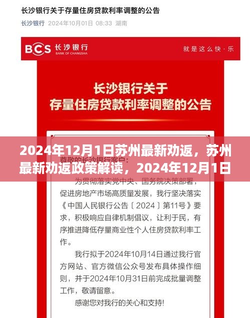 苏州最新劝返政策解读，全面执行时间与影响分析