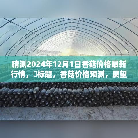 2024年12月香菇价格预测与行情展望