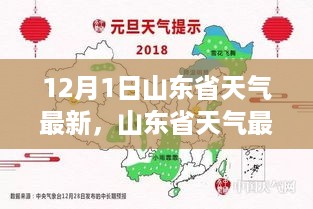 山东省天气深度解读，12月1日独特表现与最新评测报告