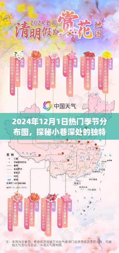 探秘美食宝藏，2024年12月1日热门季节分布图下的隐藏小巷风味美食