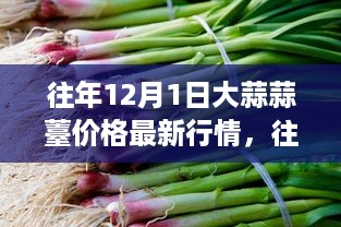 往年12月1日大蒜蒜薹价格行情概览及市场分析，最新行情与市场洞察