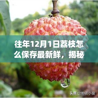 揭秘，如何在冬季12月1日保持荔枝新鲜如初的保存秘诀