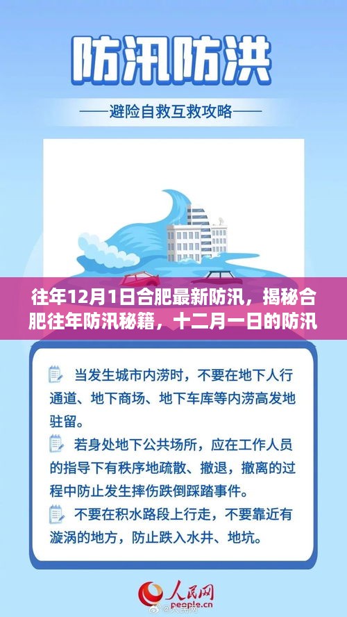 揭秘合肥历年防汛秘籍，十二月一日防汛新动态与经验分享