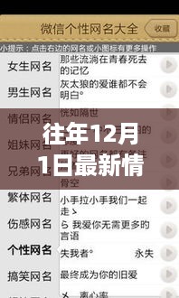 12月1日温情网名背后的日常故事，温暖与日常的双重体验