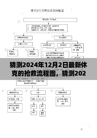 休克抢救流程图详解，专业指南与应急准备（预测版）