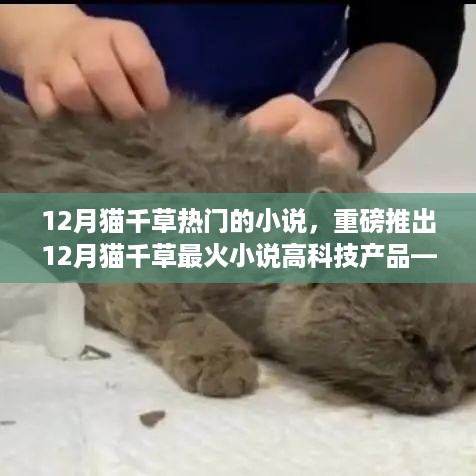 重磅推出，猫千草最新热门小说，高科技产品带你体验未来生活