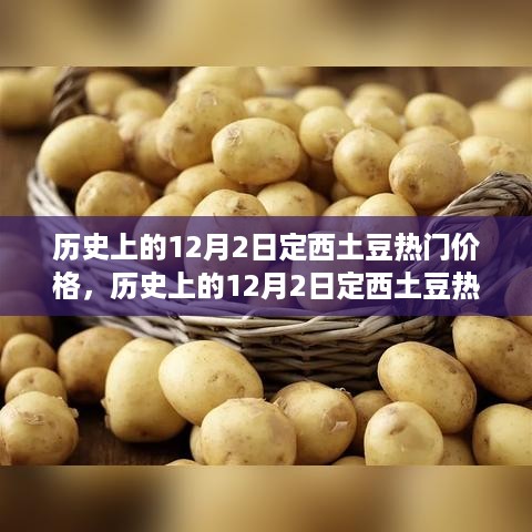 历史上的12月2日定西土豆热门价格，市场波动中的产业变迁观察