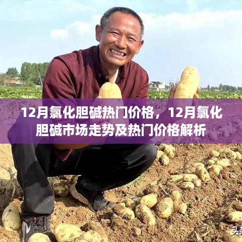 12月氯化胆碱市场走势及热门价格解析