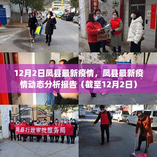 凤县最新疫情动态分析报告（截至12月2日），疫情最新情况解读