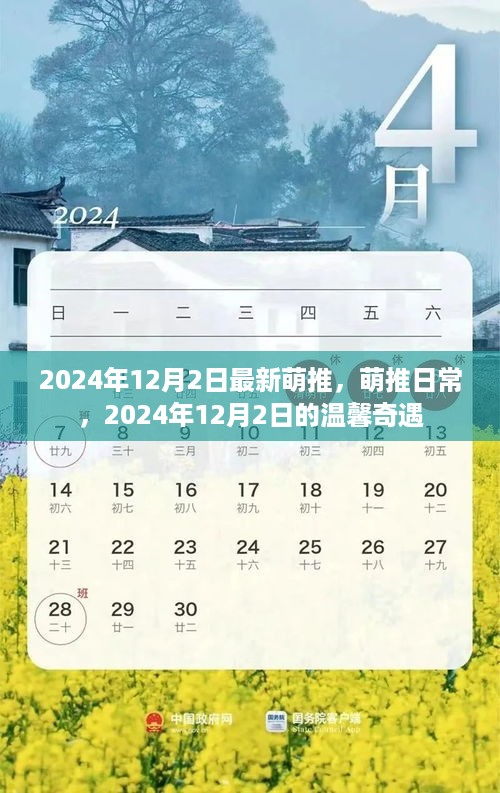 萌推日常，温馨奇遇在2024年12月2日的新篇章