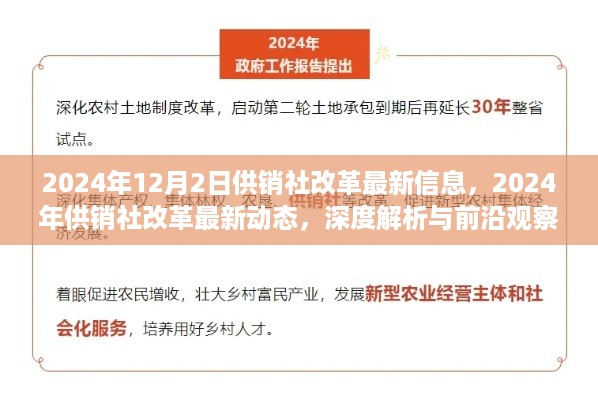 深度解析与前沿观察，2024年供销社改革最新动态与深度信息