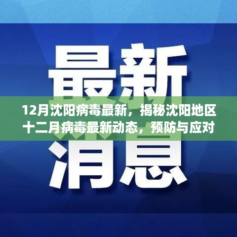 沈阳十二月病毒最新动态揭秘，预防与应对措施指南