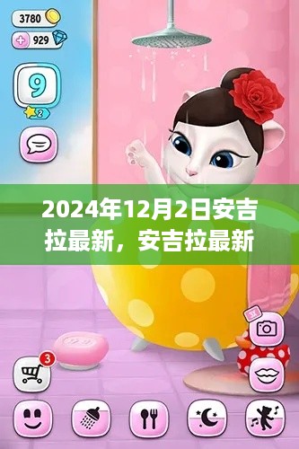 安吉拉最新动态揭秘，未知魅力之旅（2024年12月2日更新）